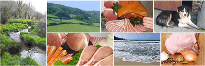 Bringing Home the Bacon for Cornwall