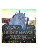 Higher Bostraze Farm