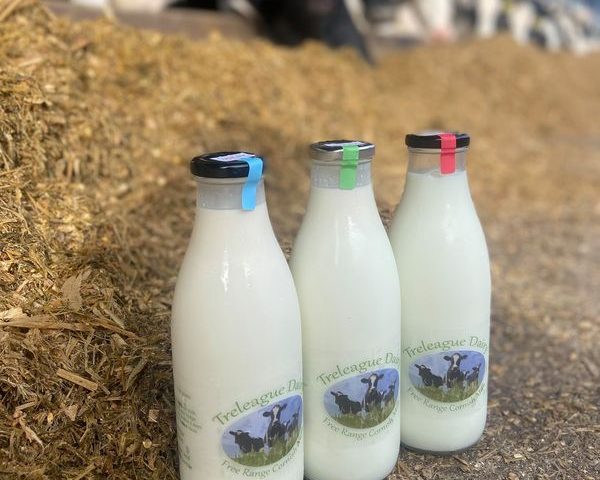 Treleague Dairy