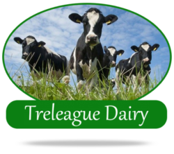 Treleague Dairy Farm Shop